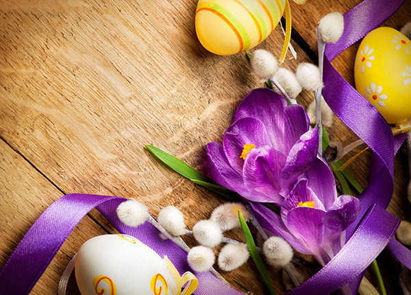 Congratulations on Easter 2017 - short
