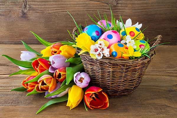Congratulations on Easter 2017 - short