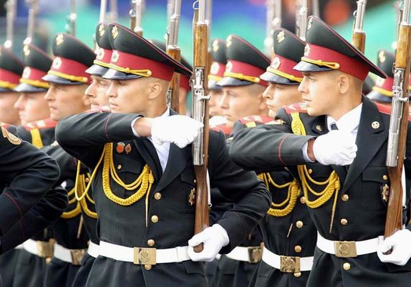 Official and short congratulations on the Day of the Defender of the Fatherland (February 23) colleagues