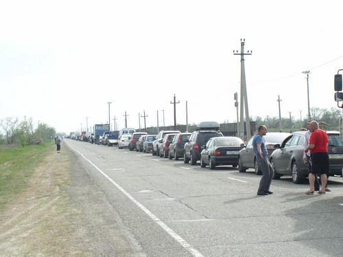 We go to Crimea by car with a dog