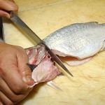 Processing of fish of different types Processing of fish of different types