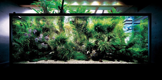 Making an aquarium with your own hands