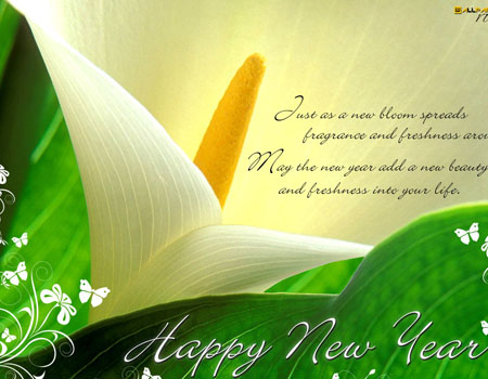 Original congratulations on the New Year 2015, best congratulations