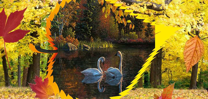 Scenario Autumn Ball in the school for high school students and grades 5-7. Stengazeta and dance at the Autumn Ball