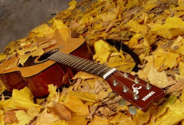 Songs and poems for the Autumn Ball for schoolchildren - the best, modern, beautiful and short
