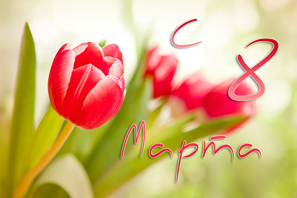 Beautiful songs on the 8th of March mother and grandmother from children
