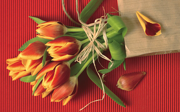 Beautiful songs on the 8th of March mother and grandmother from children