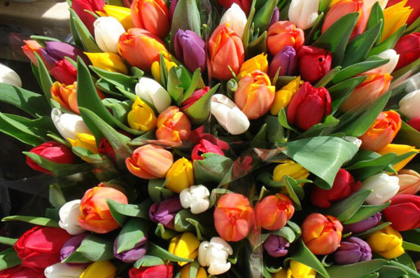 Beautiful songs on the 8th of March mother and grandmother from children