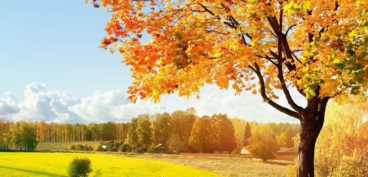 Songs about autumn for elementary school, kindergarten and adolescents