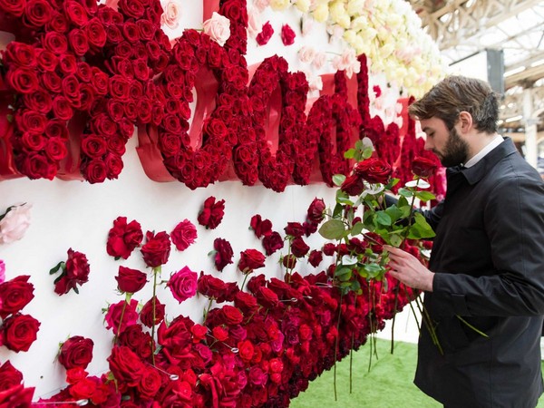 Valentine's Day 2016: original gift ideas and best congratulations