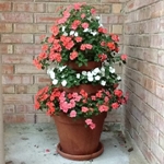 Flower stands with own hands