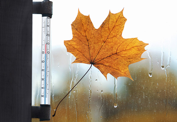 What will the weather be like in Moscow and the Moscow Region in October 2017?