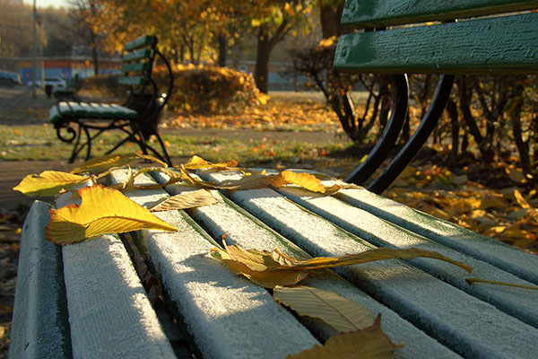 The weather in Moscow is September 2017, the most accurate forecast of the Hydrometeorological Center for the beginning and end of September for Moscow and Moscow region