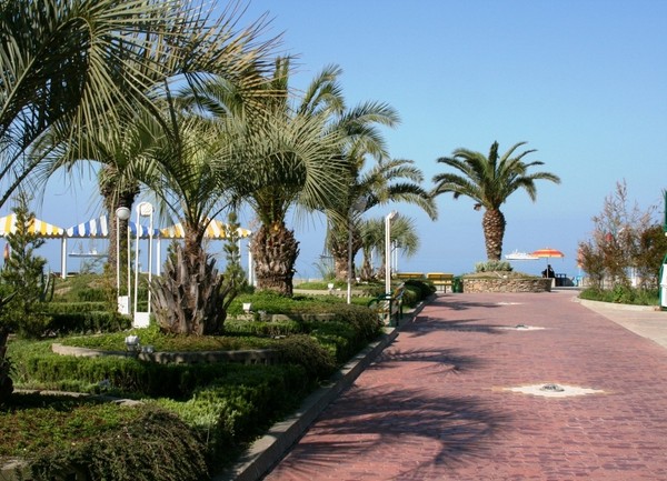 What weather is expected in Sochi in August 2016, according to the forecasts of the hydrometeorological center and according to the reviews of tourists, the temperature of water and air in Sochi in August What weather is expected in Sochi in August 2016, according to the forecasts of the hydrometeorological center and according to the reviews of tourists, the temperature of water and air in Sochi in August