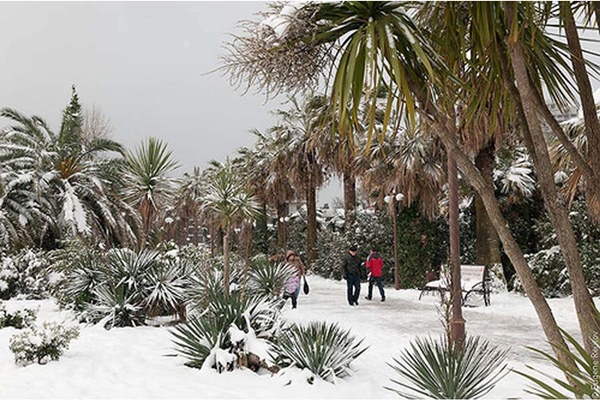 Weather in Sochi in February 2017