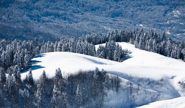 Weather in Sochi in February 2017