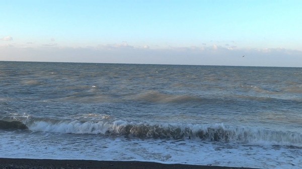 Weather in Sochi in November 2016 - the most accurate forecast from the Hydrometeorological Center