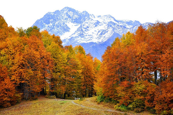 Weather in Sochi in October 2017
