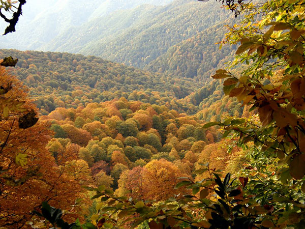 Weather in Sochi in October 2017