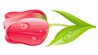 Congratulations on March 8 in verse
