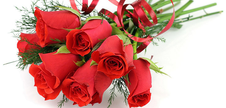 Official and funny congratulations on the Day of the Tax Worker in verse and prose