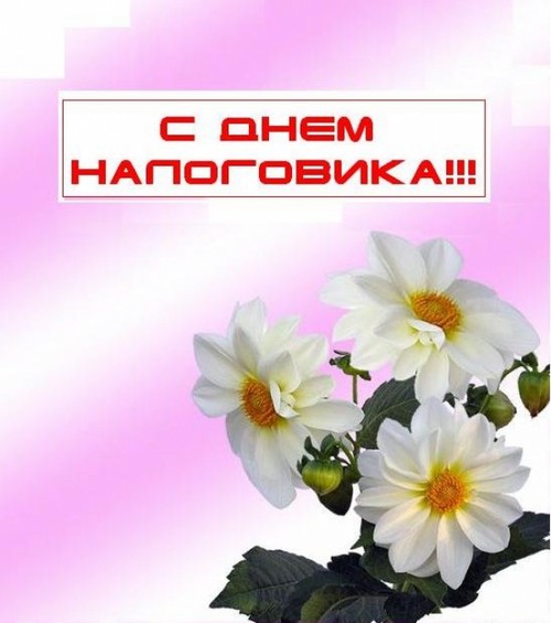Official and funny congratulations on the Day of the Tax Worker in verse and prose