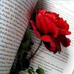 Congratulations on Valentine's Day in verse Congratulations on Valentine's Day in verse