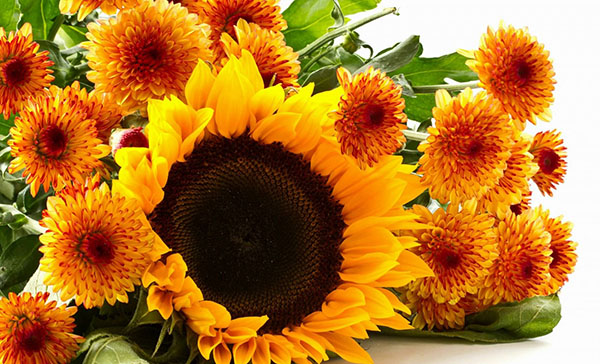 Congratulations on Teacher's Day 2017 in prose, poetry and pictures