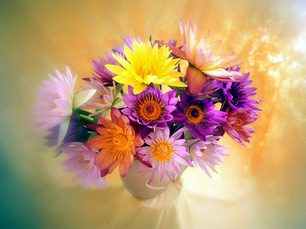Congratulations on Teacher's Day 2017 in prose, poetry and pictures