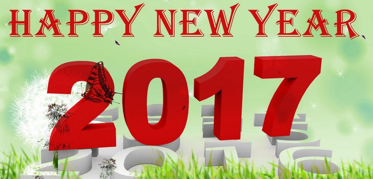 Congratulations Happy New Year 2017 Cock