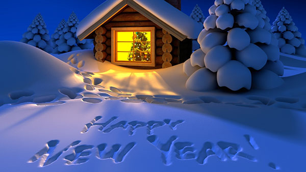 Congratulations Happy New Year 2017 Cock
