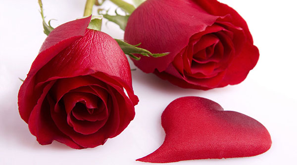 Congratulations to lovers of poetry and prose