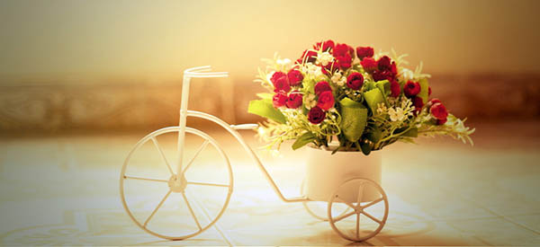 Beautiful wishes for 8 March to women