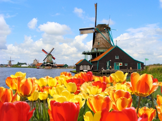 With the world in a thread: what to bring from Holland