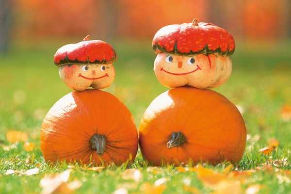 Scenario of the Harvest Festival for elementary school, senior pupils, adults and retired people