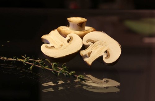 Edible fungi: classification and precautions