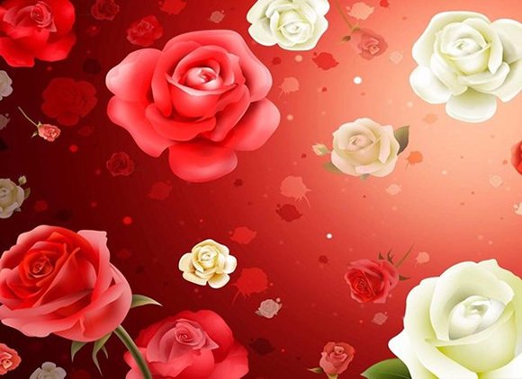 drawing of roses
