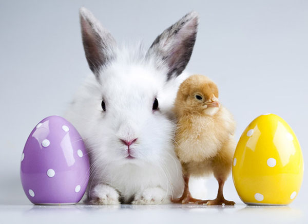 Sms with Easter 2017