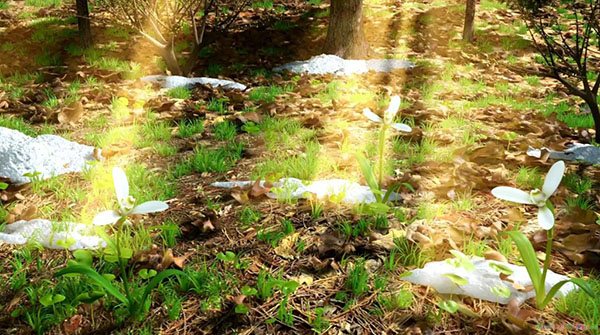 Composition on the theme of Spring