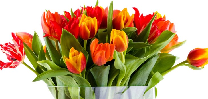 The most touching and beautiful poems on March 8, beloved women