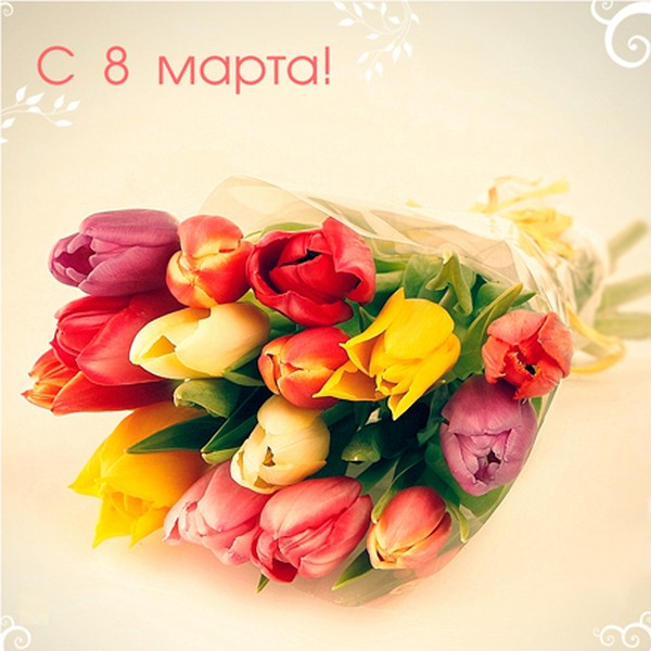 The most touching and beautiful poems on March 8, beloved women