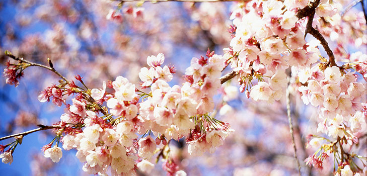 Poems about the spring of Russian poets