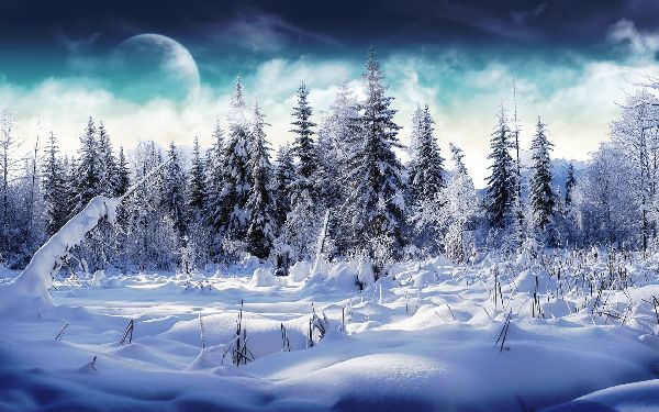 Poems about the winter for children: options for kindergarten and school. Beautiful short verses of Russian classics poets about winter