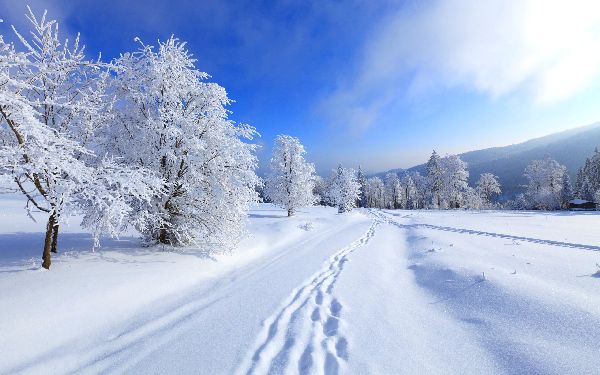 Poems about the winter for children: options for kindergarten and school. Beautiful short verses of Russian classics poets about winter