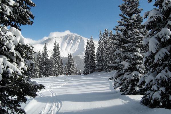 Poems about the winter for children: options for kindergarten and school. Beautiful short verses of Russian classics poets about winter