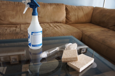 Cleaning the house: tips on where to start