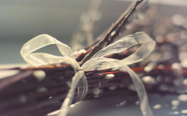 Palm Sunday: what to do