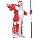Adult costumes for the New Year Adult costumes for the New Year