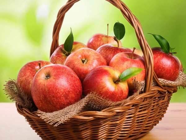 Apple Savior, congratulations for SMS, short, funny. Congratulations with the Apple Savior in verse and prose