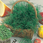 Harvesting of greenery for the winter Harvesting of greenery for the winter
